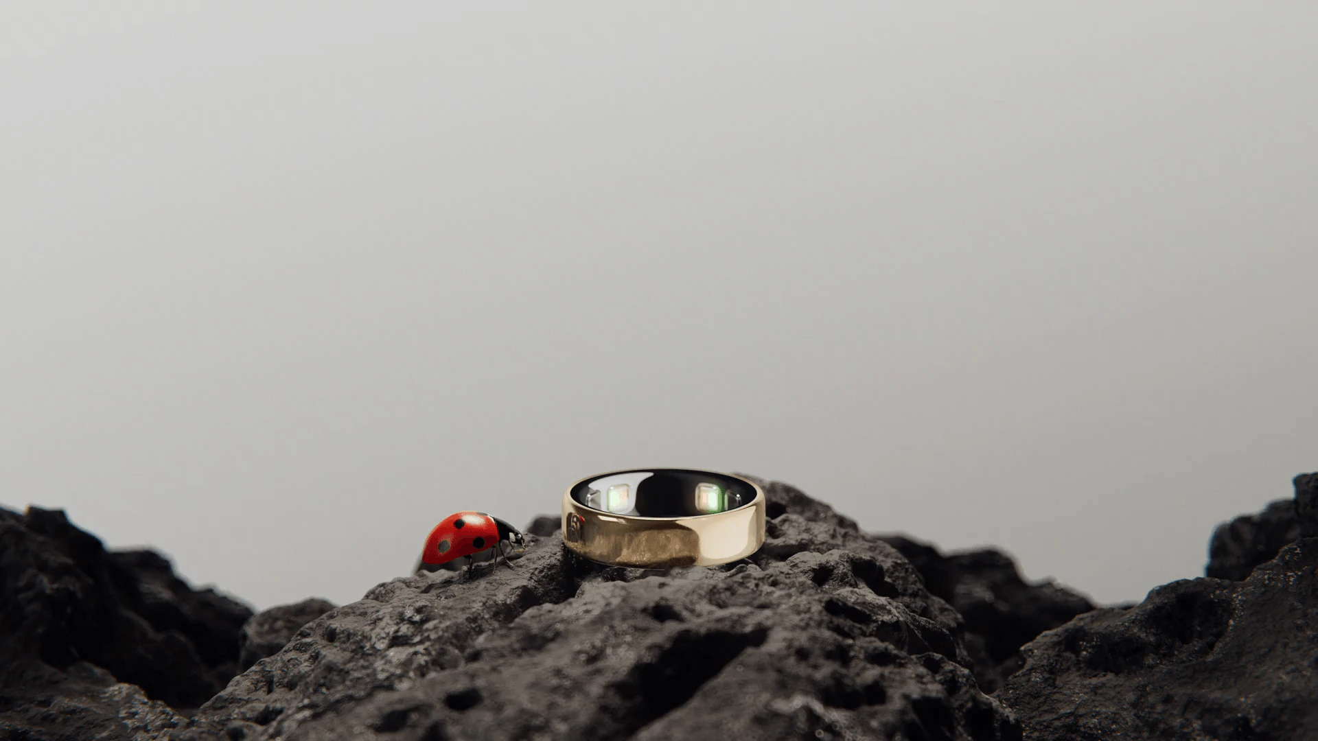 Un Oura Ring 5 Gold est posé sur un rocher sombre et rugueux, sur le bord duquel est perchée une coccinelle rouge, sur un fond aux tons doux et neutres.