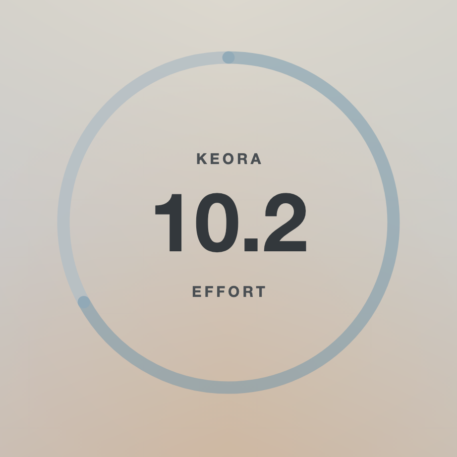 Image des données du score d'activité dans l'application KEORA Ring